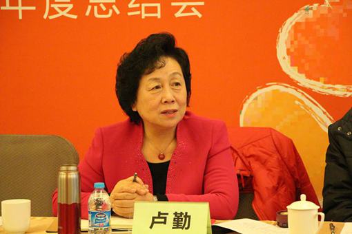 图为:中国少年儿童新闻出版总社首席教育专家卢勤参与三生留守儿童关爱行动年终总结